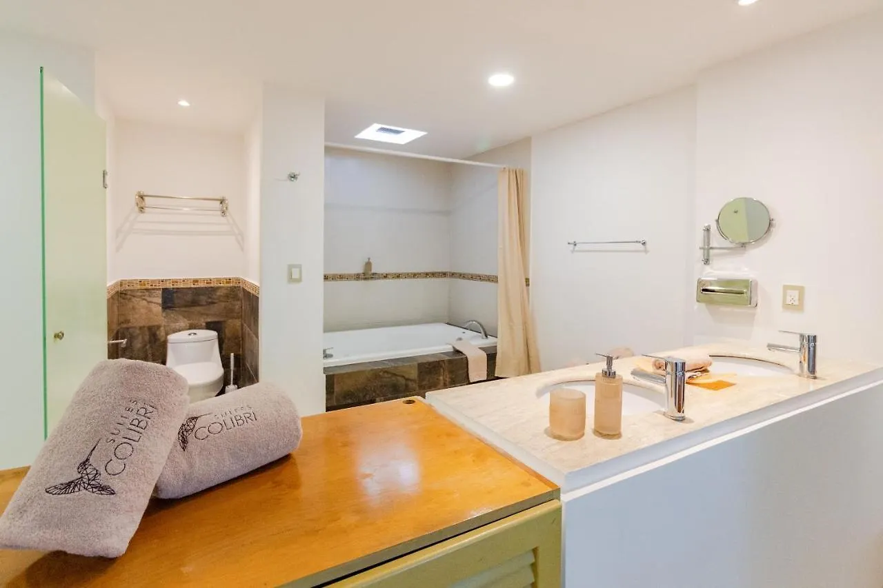 Apartment Encantadora Suite Super Amplia En Colibri Pdc Playa del Carmen Mexiko